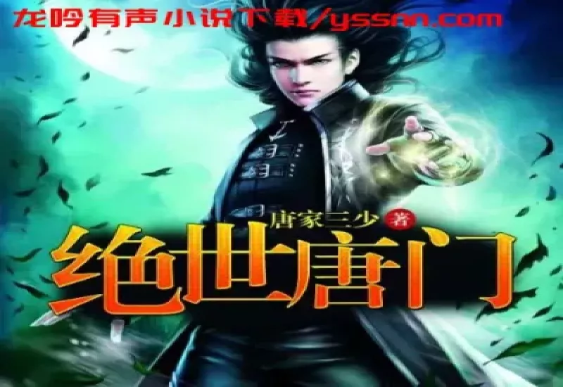 图片[2]-斗罗大陆1-4部有声小说下载-玄幻-唐家三少喜道公子-M4A-龙吟有声